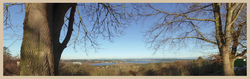 Louisa Boren Lookout